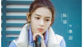 《穿盔甲的少女》电视剧什么时候播出