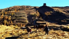 走西口的都是些什么人