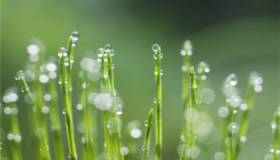 2020年九月份还热吗2020年九月份天气怎么样