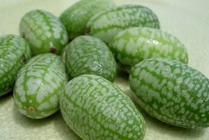 世界上最小的西瓜是什么西瓜
