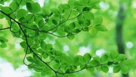 闰四月几年一次