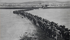 朝鲜战争中美双方伤亡人数