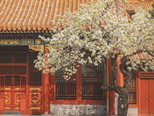 慈宁宫为何闲置了40年