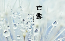 白露节气养生