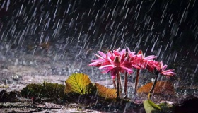 2020年南方梅雨季节