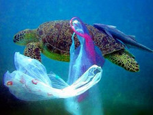 海洋深处有什么生物