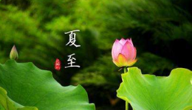 2020夏至节气如何养生