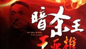 民国第一杀手王亚樵怎么死的