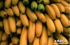 得罪北京的后果：中国一出手就让菲律宾损失7亿