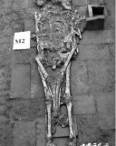 成都宋代古墓发现两具相拥骨架成都古墓发掘现两具骨架相拥