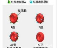 中国人的血型来源和种族历史
