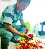 郑州3人偷吃“高科技”桃子致13年科研成果被耽搁