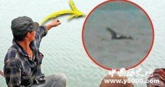 俄罗斯钱尼湖惊现水怪