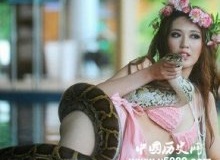 盘点世界各国美女与豺狼虎豹共舞