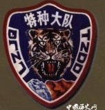 详解中国八大特种兵大队及肩章