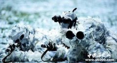 盘点世界上10大特种部队