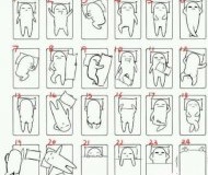 网上走红的24睡姿图