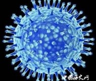 中国科学家首先找到了H7N9病毒来源