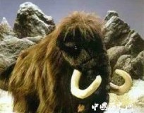 俄罗斯发现保存完整的猛犸尸体，科学家有望克隆