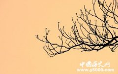 我们叫“黄种人”的历史由来