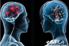解密男女大脑的不同之处