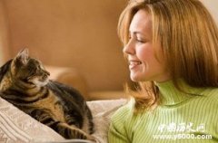 科学家发现猫能听懂人类语言