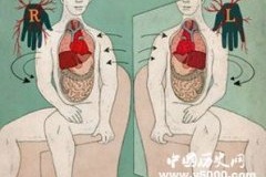 破解人类内脏器官左右不对称之谜