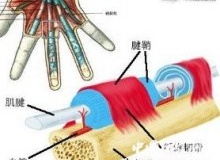 女孩疯玩微信“打飞机” 拇指打出腱鞘炎