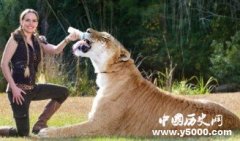 盘点2014世界吉尼斯记录的14个之最