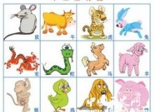 十二生肖所代表的意义