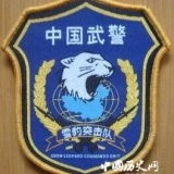 中国雪豹突击队和美国海豹突击队的区别