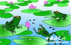 池塘里的数十万只青蛙