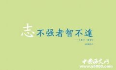 谁建立了成功的标准