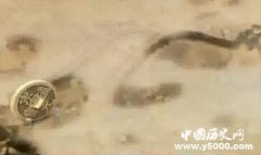 中国素菜的三大流派