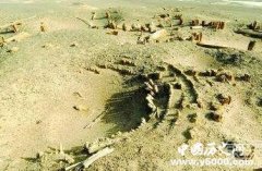 神秘新疆十大未解之谜