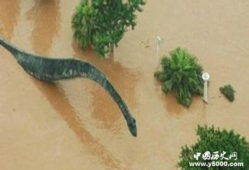 市民称重庆大洪水发现龙的踪影