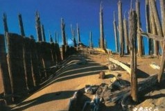 神秘的罗布泊复制人事件