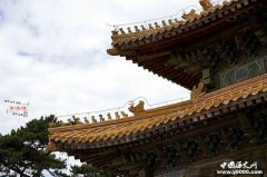 探幽未对游客开放的泰东陵