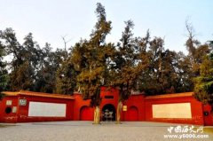 刘秀效仿明君严于律己