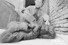 “太岁头上不能动土”是什么意思