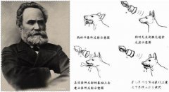 巴普洛夫：生理学无冕之王