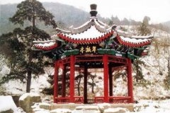 “莫须有”是杜撰的还是真实的