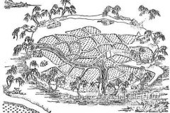 万春圩究竟是由谁来主持修复的