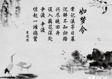 李清照改嫁了吗