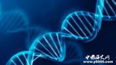 奇人奇事 一家人的悲剧：难道双性人可遗传