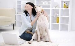 奇人奇事 与宠物结婚：莱斯贝尔创办的婚恋网