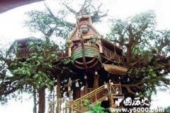 民风民俗 肯尼亚树顶旅馆：上了公主变女王