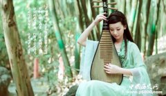 琵琶是中国乐器还是进口货