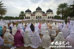 伊斯兰教禁忌：穆斯林为什么不吃猪肉