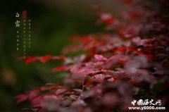 “白露”节气的由来